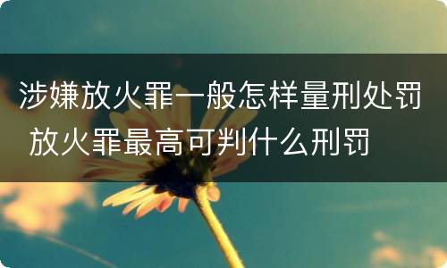 涉嫌放火罪一般怎样量刑处罚 放火罪最高可判什么刑罚