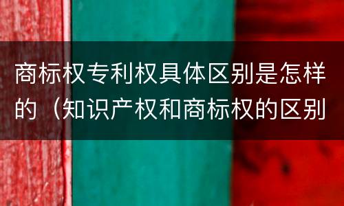商标权专利权具体区别是怎样的（知识产权和商标权的区别）