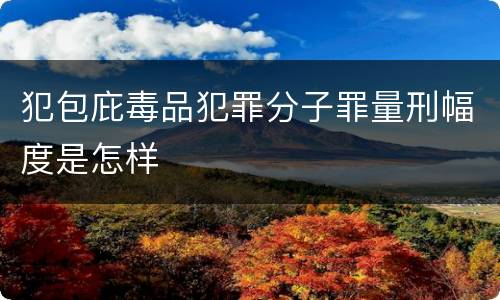 犯包庇毒品犯罪分子罪量刑幅度是怎样