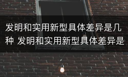 发明和实用新型具体差异是几种 发明和实用新型具体差异是几种类型