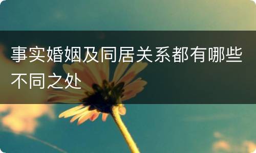 事实婚姻及同居关系都有哪些不同之处
