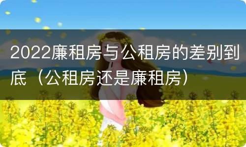 2022廉租房与公租房的差别到底（公租房还是廉租房）