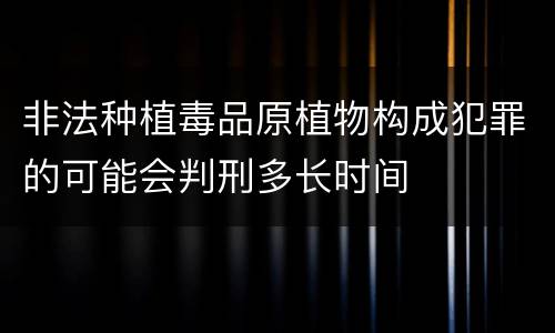 非法种植毒品原植物构成犯罪的可能会判刑多长时间