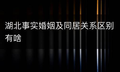 湖北事实婚姻及同居关系区别有啥