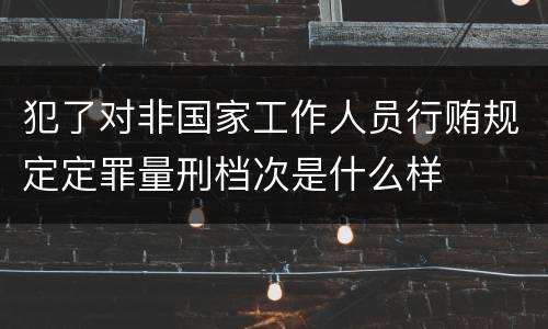 犯了对非国家工作人员行贿规定定罪量刑档次是什么样