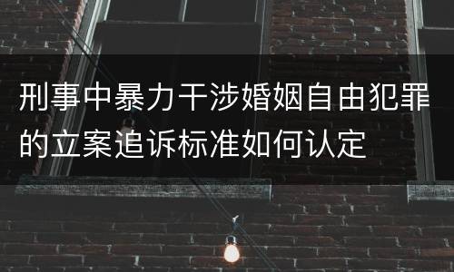 刑事中暴力干涉婚姻自由犯罪的立案追诉标准如何认定