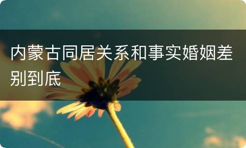 内蒙古同居关系和事实婚姻差别到底
