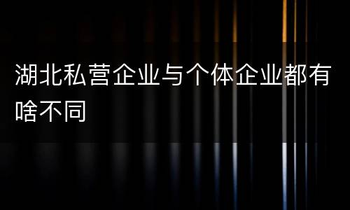 湖北私营企业与个体企业都有啥不同