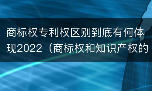 商标权专利权区别到底有何体现2022（商标权和知识产权的区别）