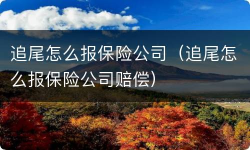 追尾怎么报保险公司（追尾怎么报保险公司赔偿）