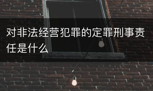 对非法经营犯罪的定罪刑事责任是什么