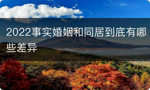 2022事实婚姻和同居到底有哪些差异