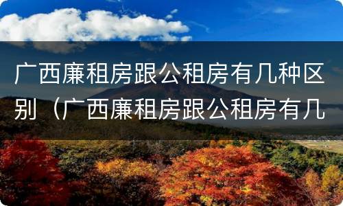 广西廉租房跟公租房有几种区别（广西廉租房跟公租房有几种区别图片）