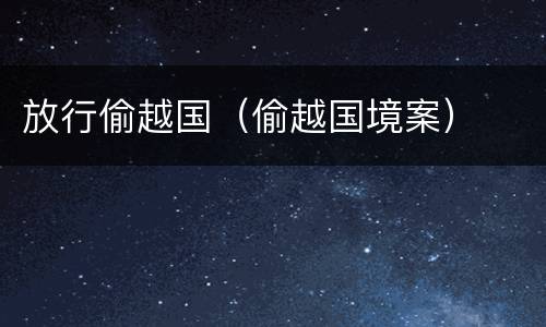 放行偷越国（偷越国境案）