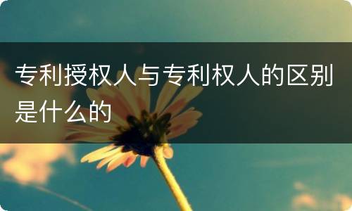 专利授权人与专利权人的区别是什么的