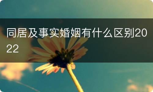 同居及事实婚姻有什么区别2022