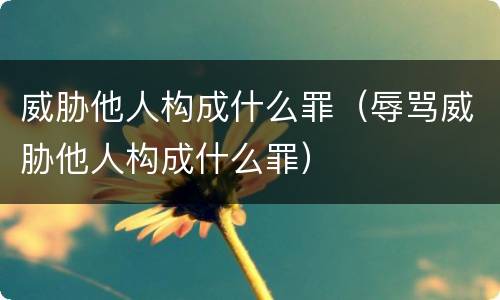 威胁他人构成什么罪（辱骂威胁他人构成什么罪）
