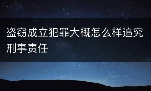 盗窃成立犯罪大概怎么样追究刑事责任