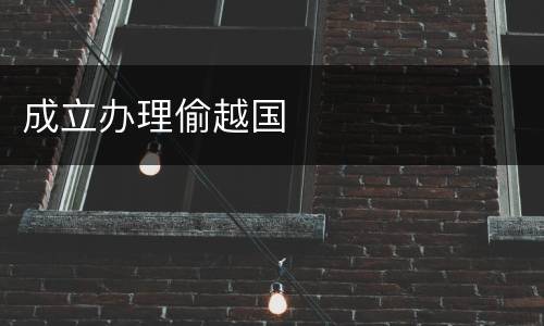 成立办理偷越国