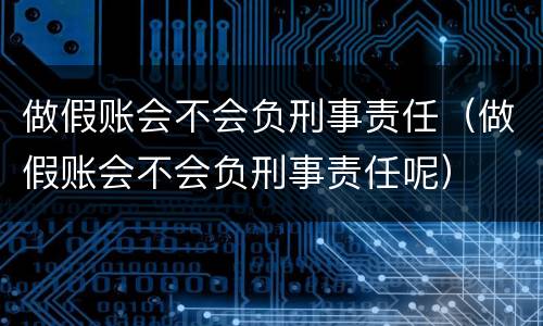 做假账会不会负刑事责任（做假账会不会负刑事责任呢）