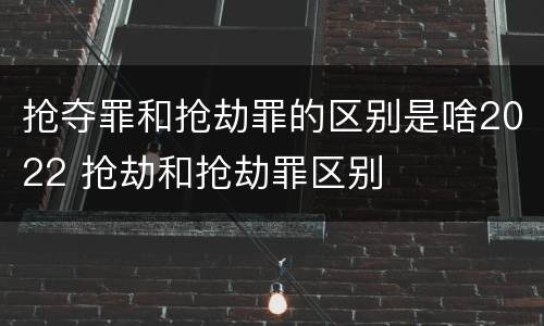 抢夺罪和抢劫罪的区别是啥2022 抢劫和抢劫罪区别