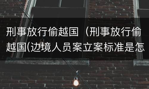 刑事放行偷越国（刑事放行偷越国(边境人员案立案标准是怎样的）