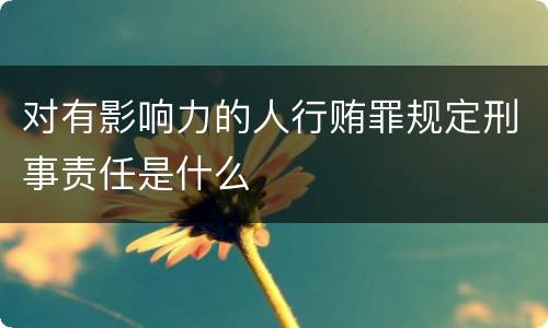 对有影响力的人行贿罪规定刑事责任是什么