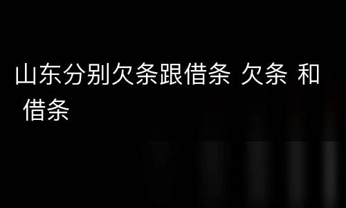 山东分别欠条跟借条 欠条 和 借条