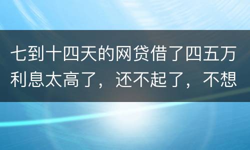 七到十四天的网贷借了四五万利息太高了，还不起了，不想还了可爱吗