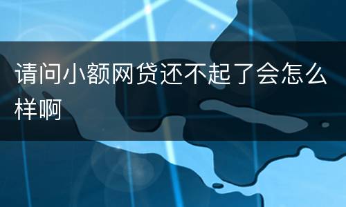 请问小额网贷还不起了会怎么样啊