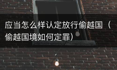 应当怎么样认定放行偷越国（偷越国境如何定罪）