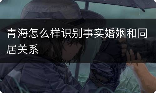 青海怎么样识别事实婚姻和同居关系