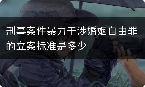 刑事案件暴力干涉婚姻自由罪的立案标准是多少