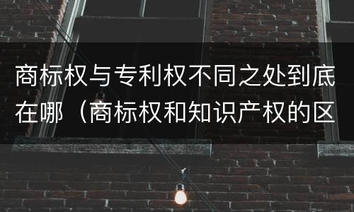 商标权与专利权不同之处到底在哪（商标权和知识产权的区别）