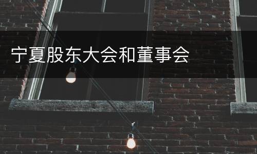 宁夏股东大会和董事会
