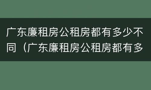 广东廉租房公租房都有多少不同（广东廉租房公租房都有多少不同的地方）