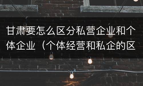 甘肃要怎么区分私营企业和个体企业（个体经营和私企的区别）