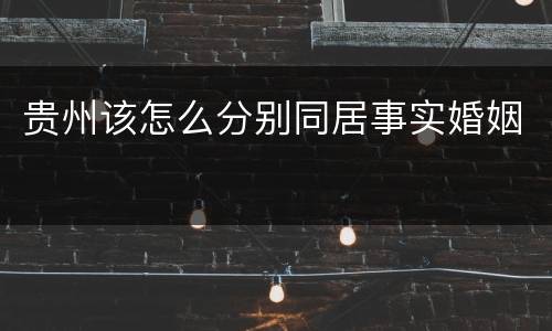 贵州该怎么分别同居事实婚姻