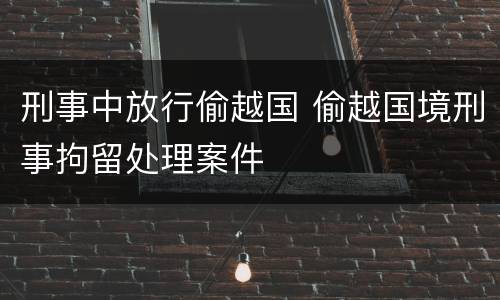刑事中放行偷越国 偷越国境刑事拘留处理案件