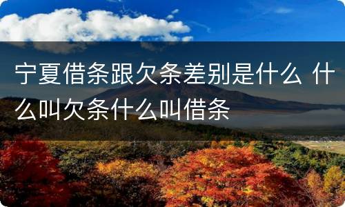 宁夏借条跟欠条差别是什么 什么叫欠条什么叫借条