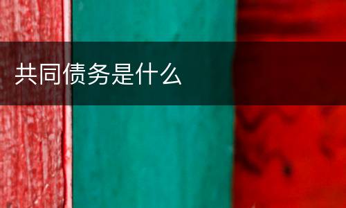 共同债务是什么