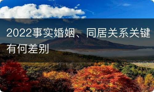 2022事实婚姻、同居关系关键有何差别