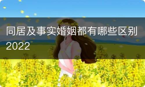 同居及事实婚姻都有哪些区别2022
