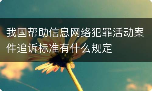 我国帮助信息网络犯罪活动案件追诉标准有什么规定