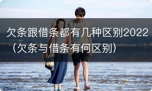 欠条跟借条都有几种区别2022（欠条与借条有何区别）