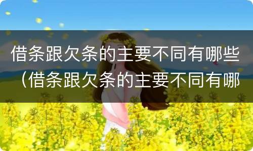 借条跟欠条的主要不同有哪些（借条跟欠条的主要不同有哪些呢）