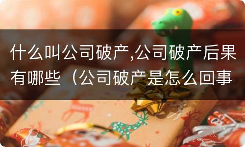 什么叫公司破产,公司破产后果有哪些（公司破产是怎么回事）