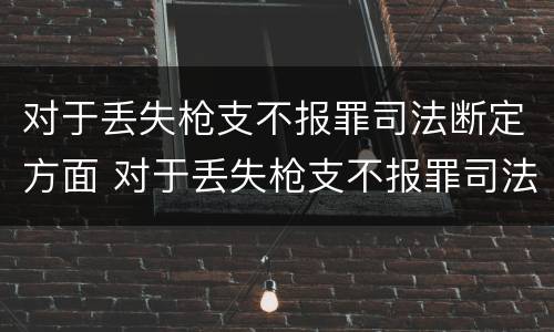 对于丢失枪支不报罪司法断定方面 对于丢失枪支不报罪司法断定方面的问题
