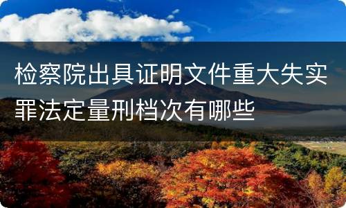 检察院出具证明文件重大失实罪法定量刑档次有哪些