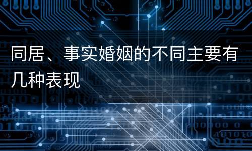 同居、事实婚姻的不同主要有几种表现